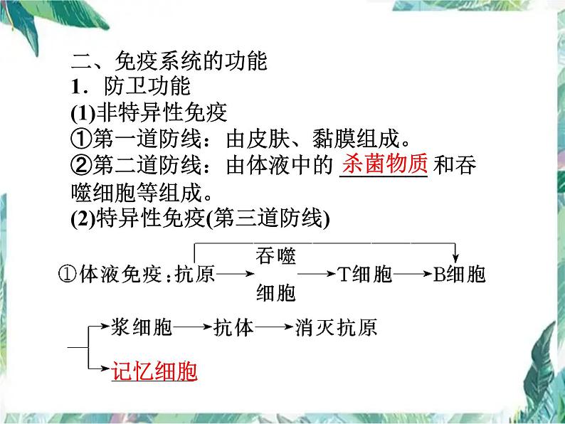 免疫调节 高考生物一轮复习优质课件第5页