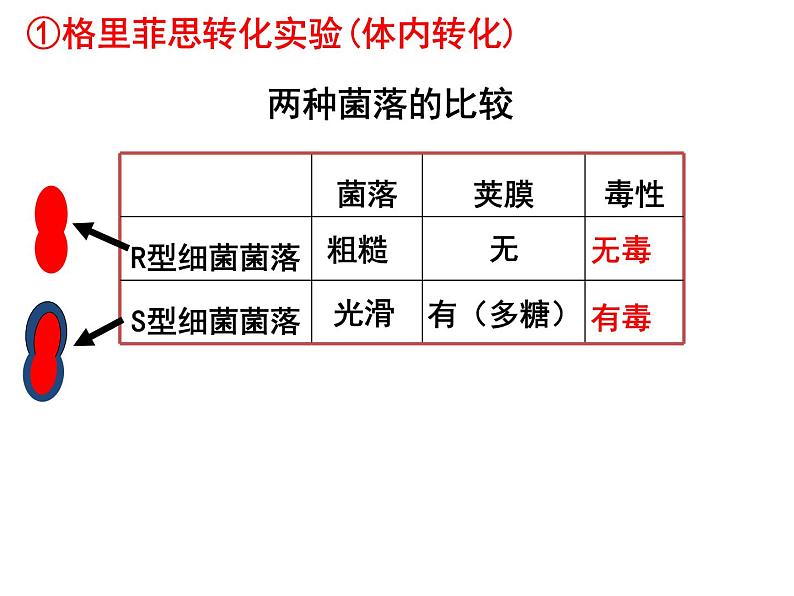 3.1DNA是主要的遗传物质课件PPT第4页