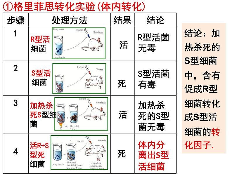 3.1DNA是主要的遗传物质课件PPT第5页