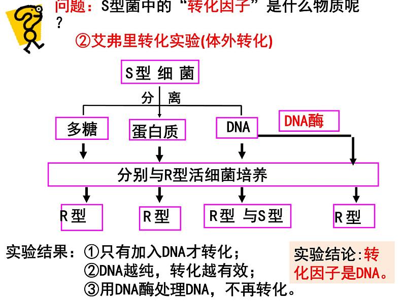 3.1DNA是主要的遗传物质课件PPT第6页