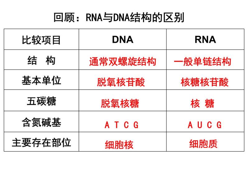 4.1基因指导蛋白质的合成课件PPT04