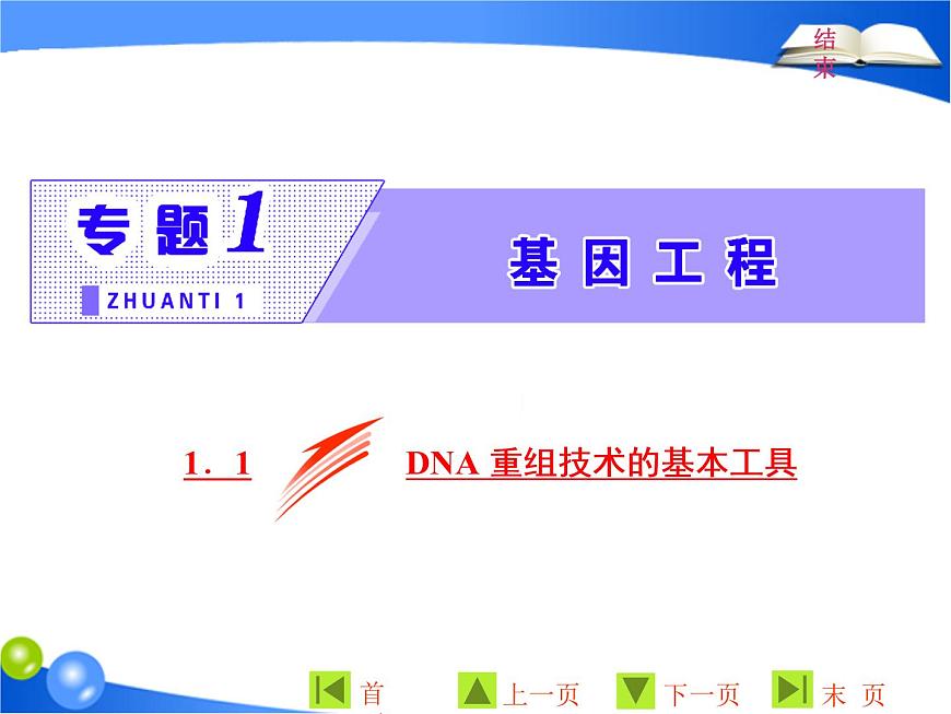 專題1  1．1 DNA重組技術(shù)的基本工具課件PPT第1頁