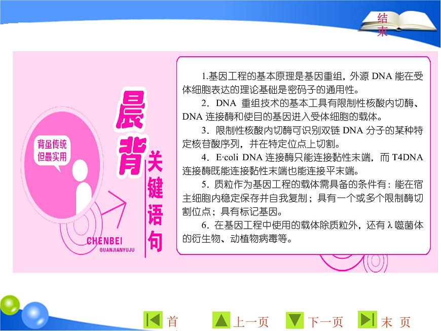 專題1  1．1 DNA重組技術(shù)的基本工具課件PPT第2頁