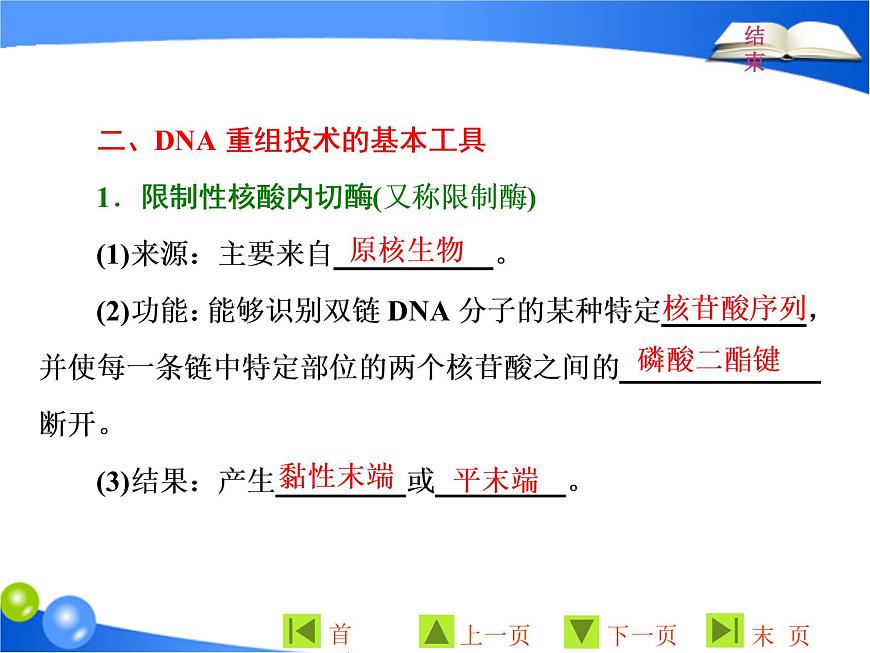 專題1  1．1 DNA重組技術(shù)的基本工具課件PPT第5頁