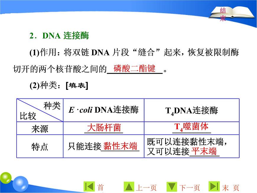專題1  1．1 DNA重組技術(shù)的基本工具課件PPT第7頁