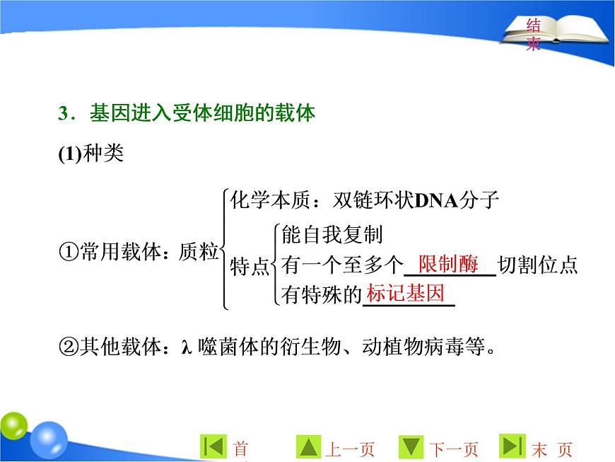 專題1  1．1 DNA重組技術(shù)的基本工具課件PPT第8頁