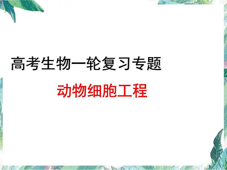 动物细胞工程(高考生物专题一轮复习)课件PPT第1页