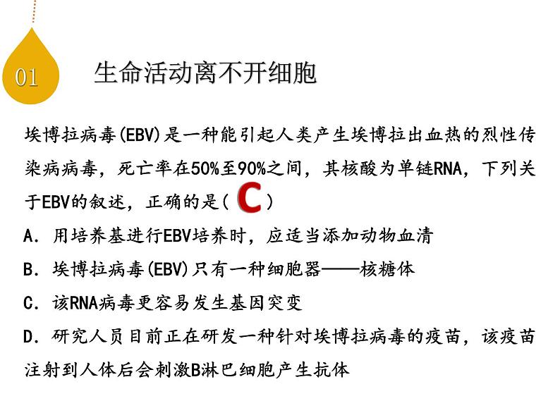 走近细胞 高考生物 一轮复习课件第3页