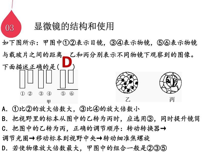 走近细胞 高考生物 一轮复习课件第5页