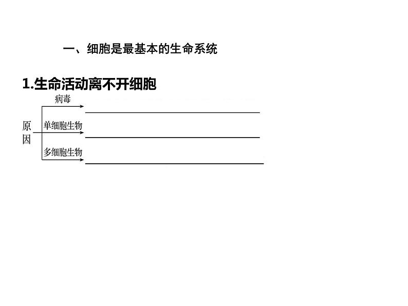 走近细胞 高考生物 一轮复习课件第7页