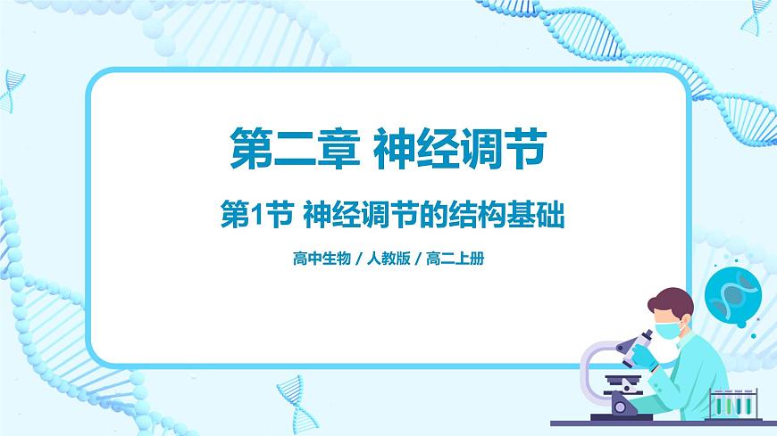 第一節(jié)《神經(jīng)調(diào)節(jié)的結(jié)構(gòu)基礎(chǔ)》課件第1頁(yè)