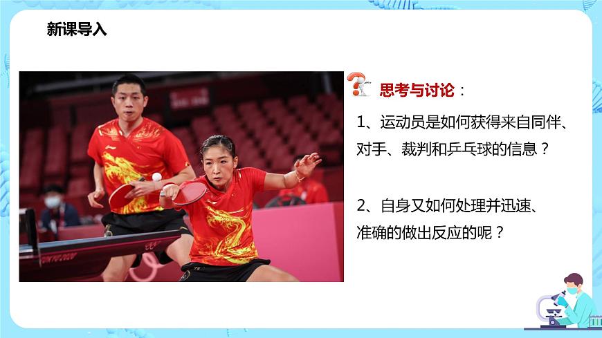 第一節(jié)《神經(jīng)調(diào)節(jié)的結(jié)構(gòu)基礎(chǔ)》課件第3頁(yè)