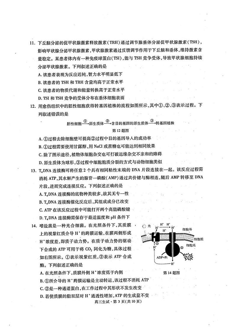 2021学年第二学期杭州市高三年级教学质量检测生物试卷含答案(2022年杭州二模)第3页