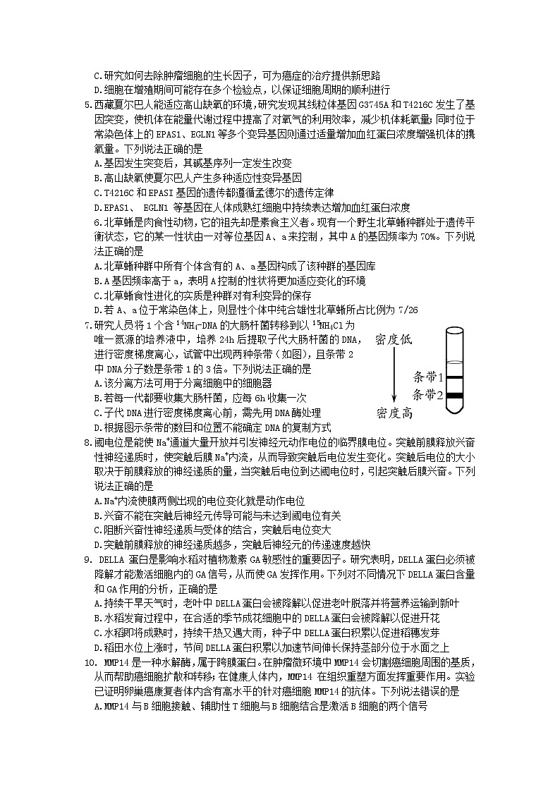 2022年4月潍坊市高三二模考试生物试题第2页