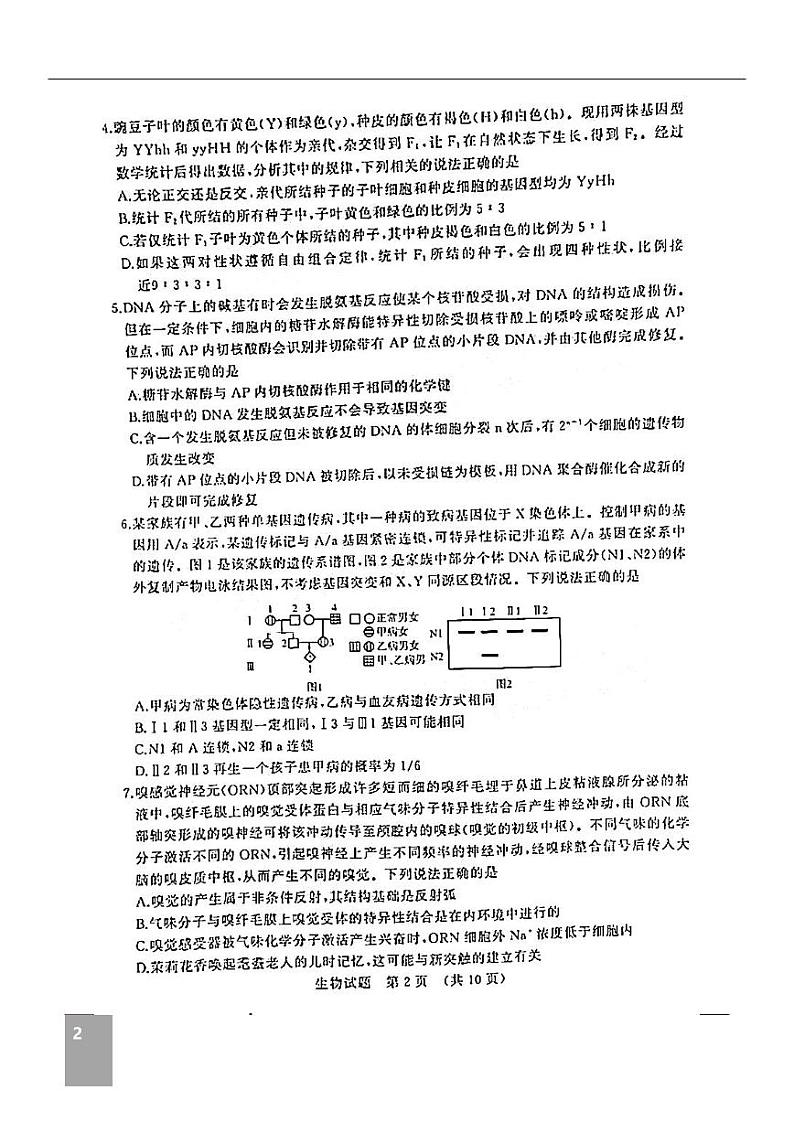 山东济南2022届高三二模生物试题(含答案)02