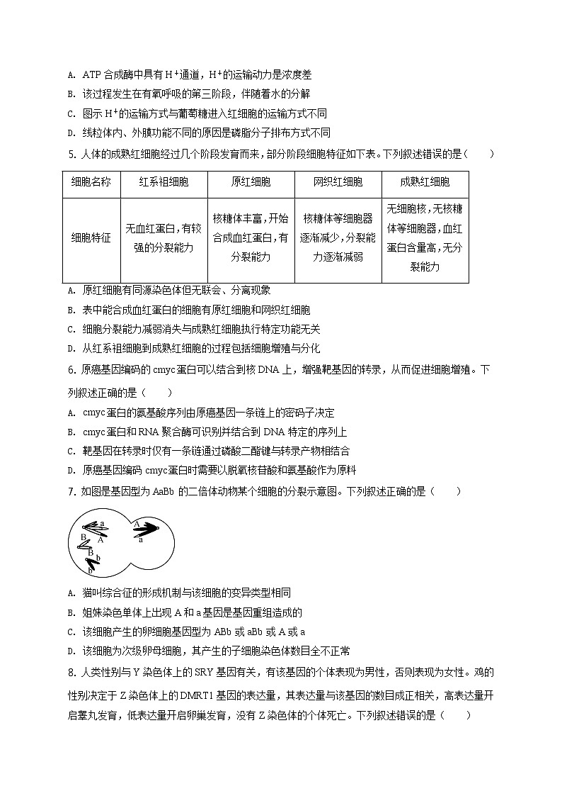 2020届江苏省南京市高三三模生物卷+答案02