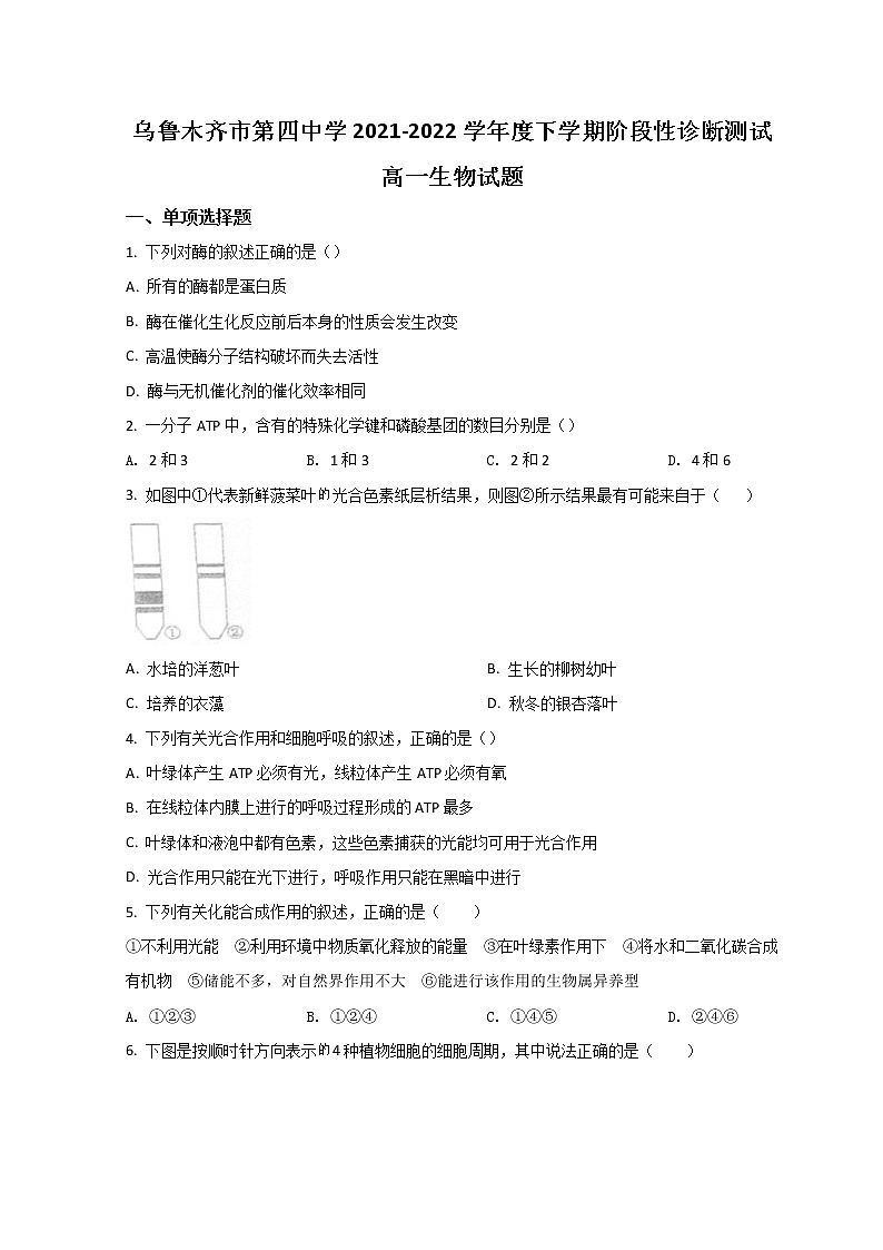 2022乌鲁木齐四中高一下学期期中生物试题含答案01