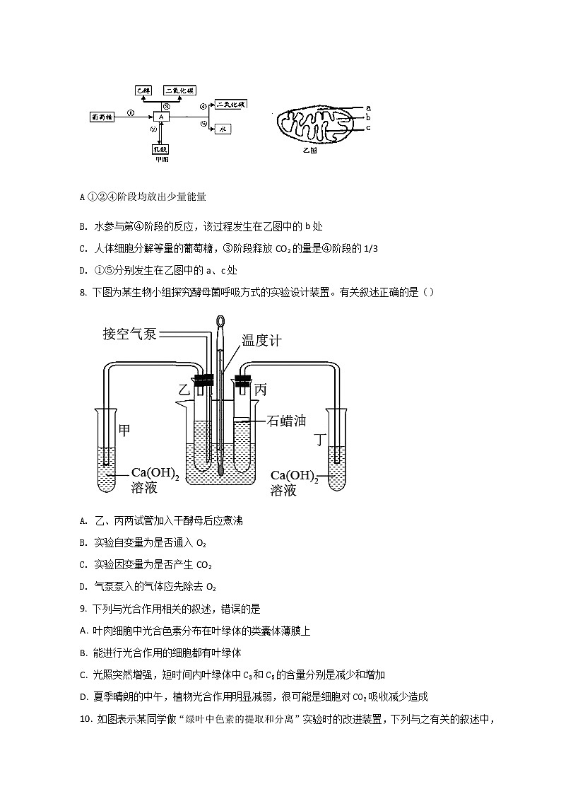 2022西安西安中学高一下学期期中生物试题含答案03