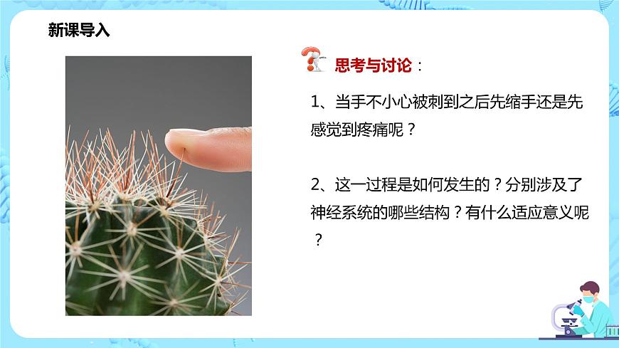 第二節(jié)《神經(jīng)調(diào)節(jié)的基本方式—反射》課件第3頁