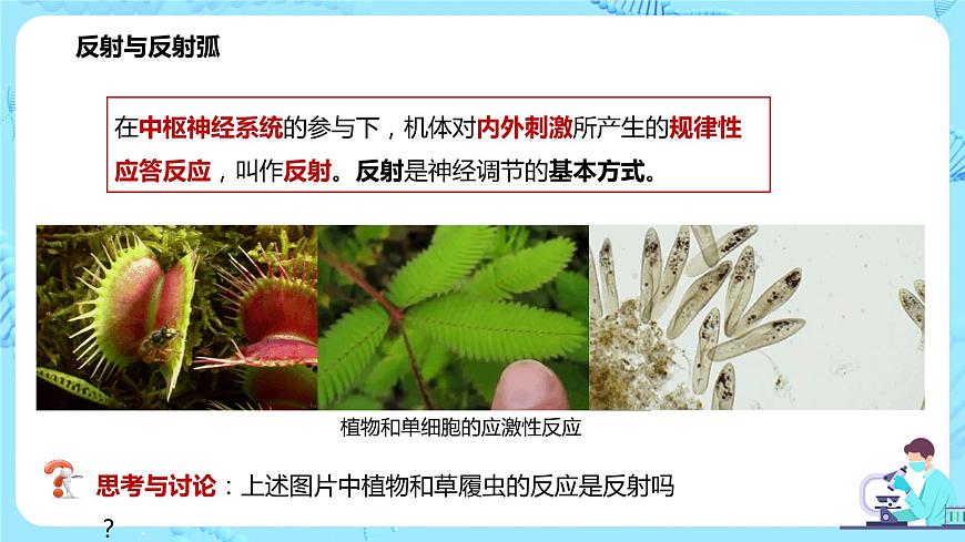 第二節(jié)《神經(jīng)調(diào)節(jié)的基本方式—反射》課件第4頁