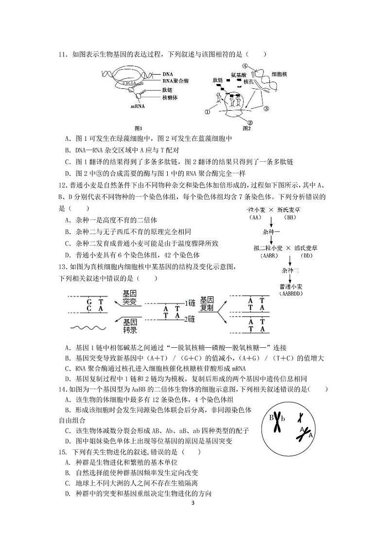 江苏省常州市新桥高级中学2020-2021学年高一下学期期末阶段检测生物试题第3页