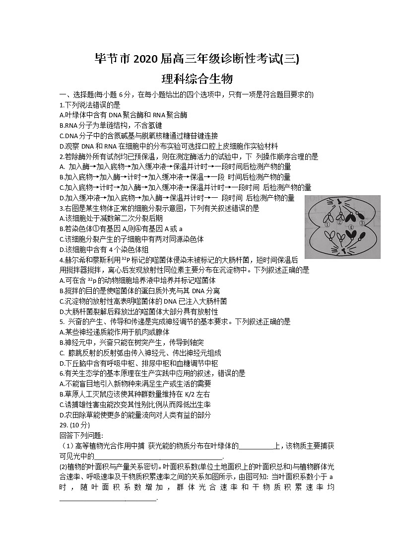 2020年贵州省毕节市高三第三次模拟考试生物卷及答案01