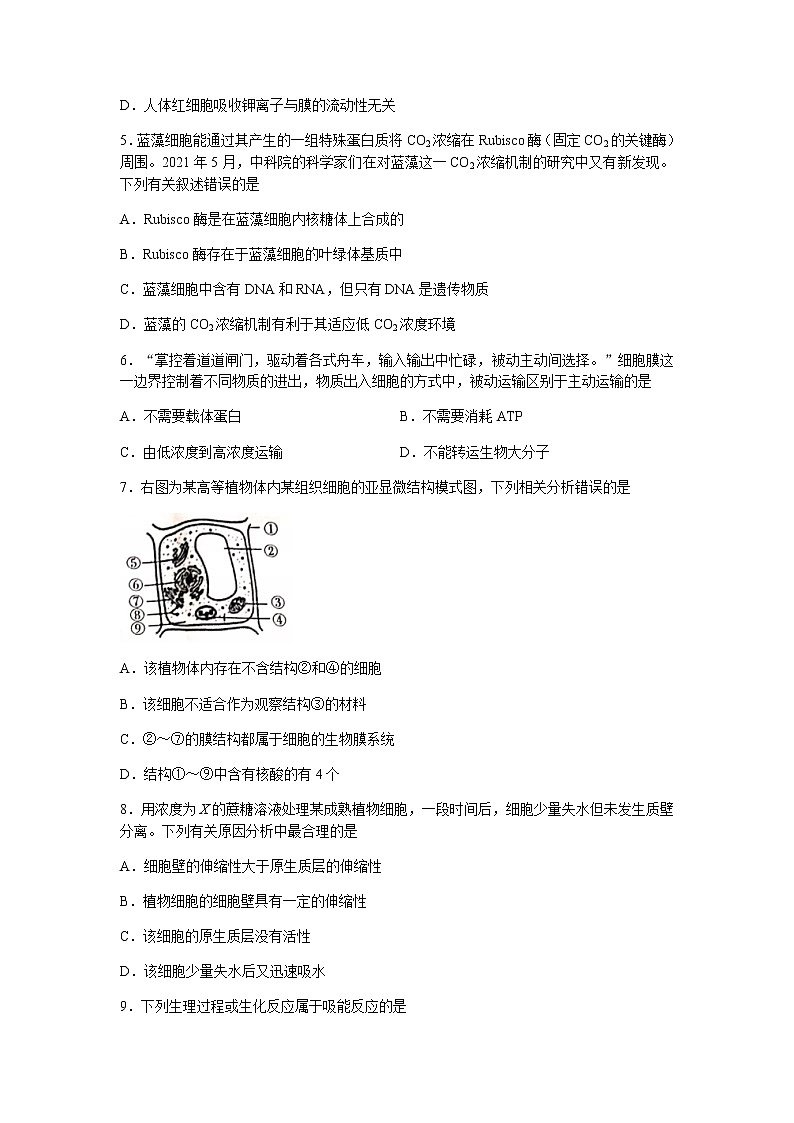 2022葫芦岛协作校高三上学期10月第一次考试生物试题含答案第2页