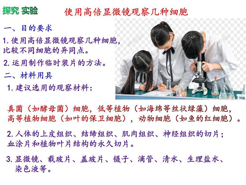 1.2细胞的多样性和统一性课件-2021-2022学年高一上学期生物人教版(2019)必修1第4页