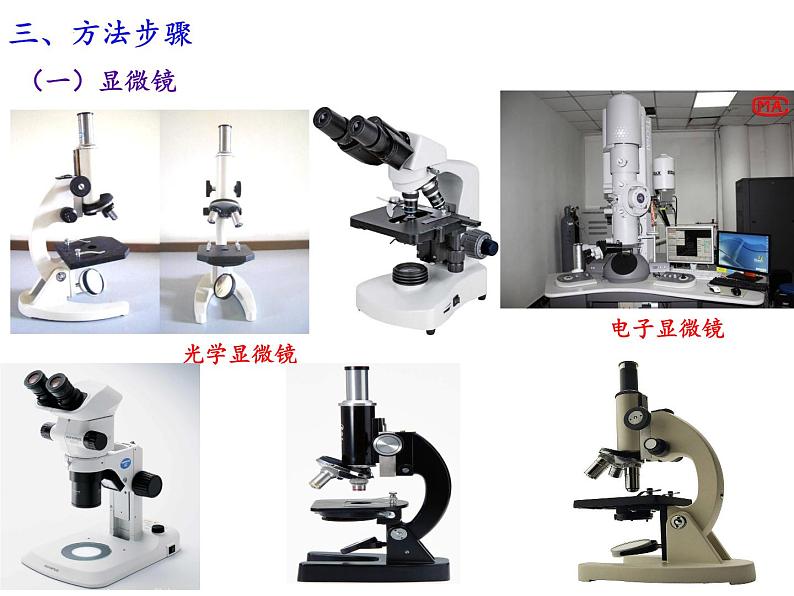 1.2细胞的多样性和统一性课件-2021-2022学年高一上学期生物人教版(2019)必修1第5页