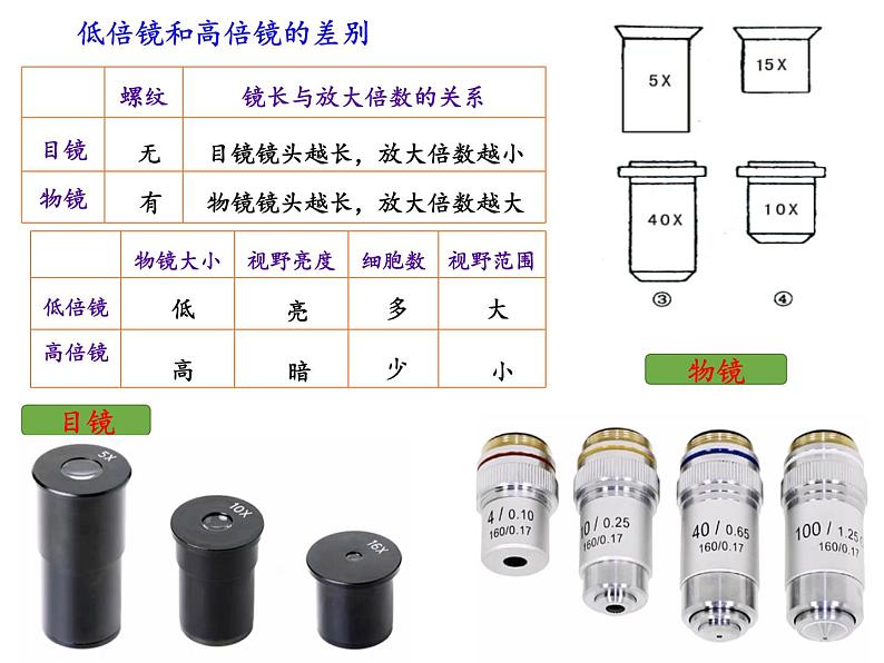 1.2细胞的多样性和统一性课件-2021-2022学年高一上学期生物人教版(2019)必修1第7页