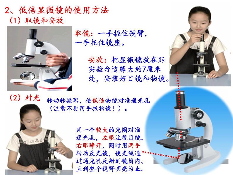 1.2细胞的多样性和统一性课件-2021-2022学年高一上学期生物人教版(2019)必修1第8页