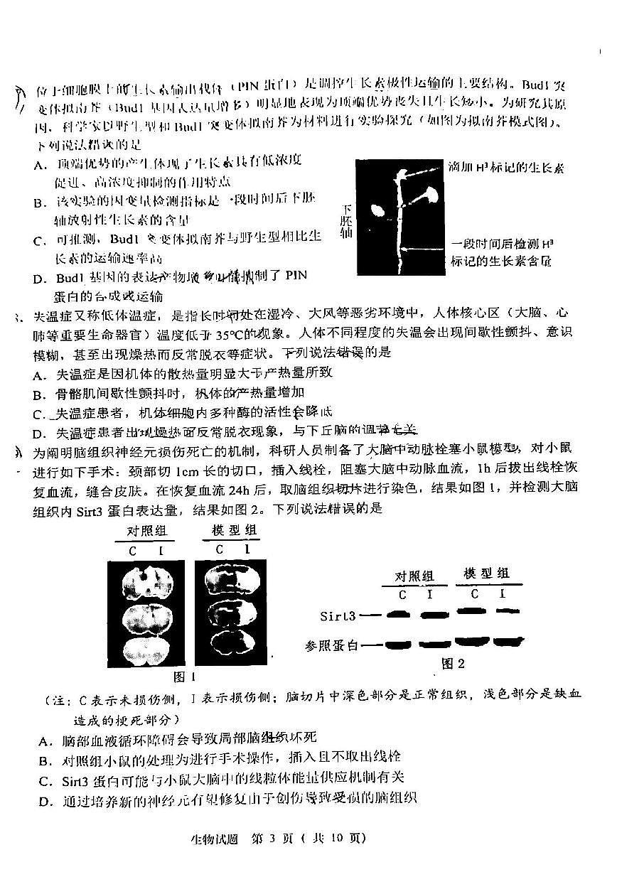 2022年青島市高三二模生物試題含答案第3頁(yè)