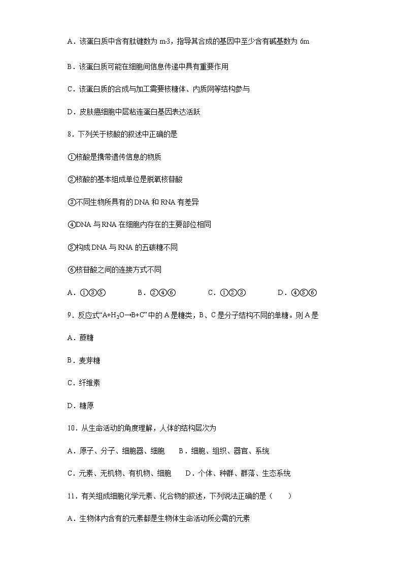 2022厦门外国语学校高一上学期第一次月考(10月)生物试题含答案03