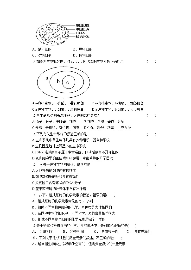 2022甘肃省靖远县二中高一上学期第一次月考生物试题含答案第3页