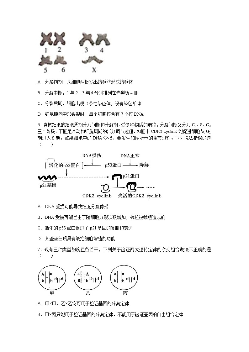 2021河北省正定中学高一下学期第一次月考生物试题含答案第2页