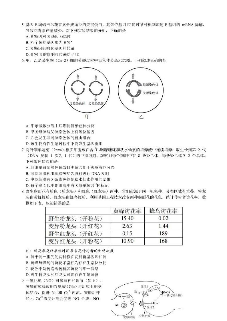 北京市西城区2022届高三下学期二模考试生物试题 Word版无答案第2页