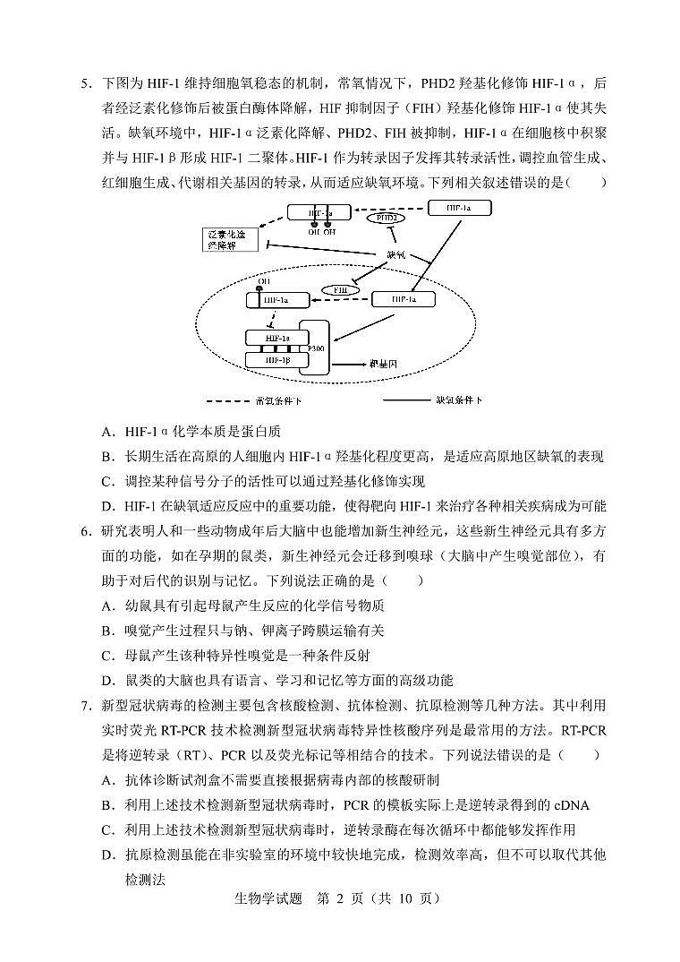 辽宁省部分重点中学协作体2022年高考模拟考试——生物(PDF版含答案)练习题第2页