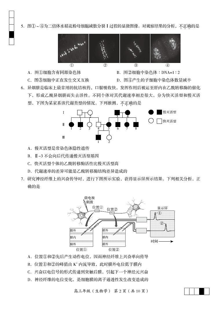 海淀区2021—2022学年第二学期期末练习高三生物试卷 - 大兴第2页