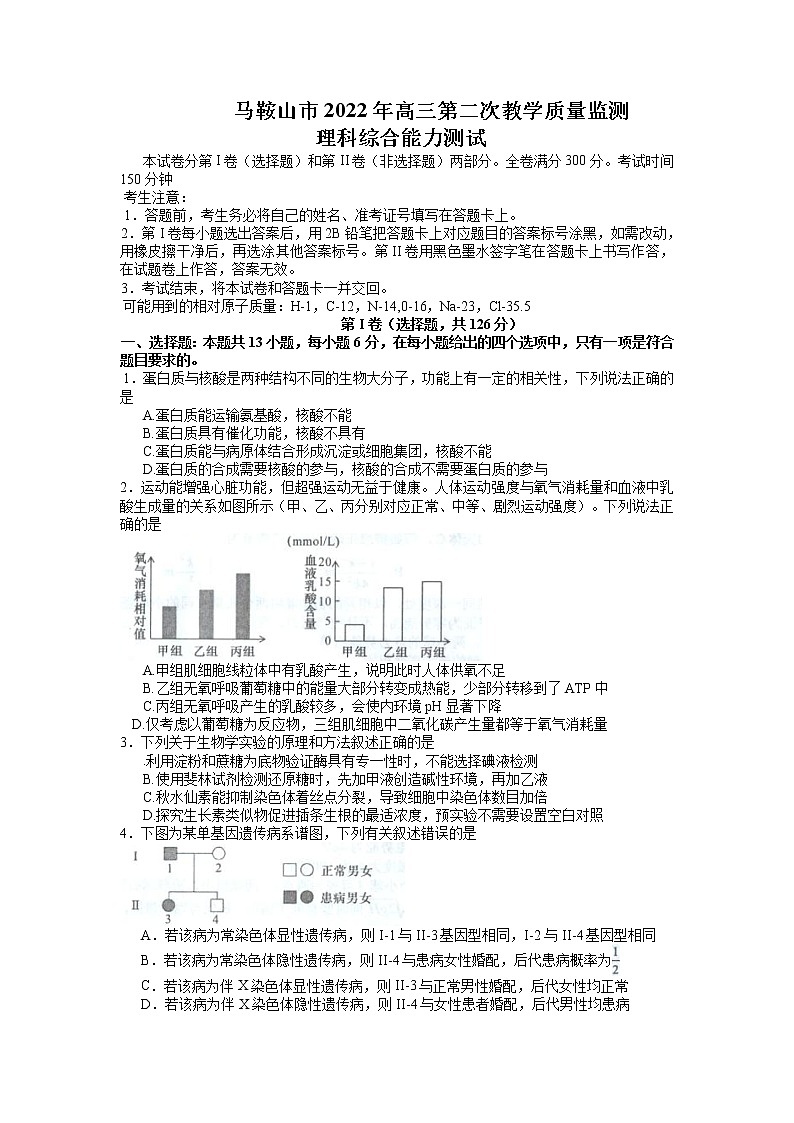 2022届安徽省马鞍山市高三二模理综生物试题01