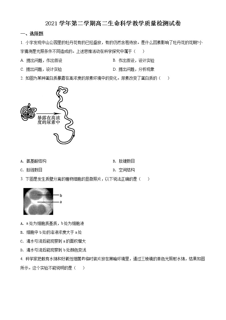 2022届上海市长宁区高三(线上)二模生物试题第1页