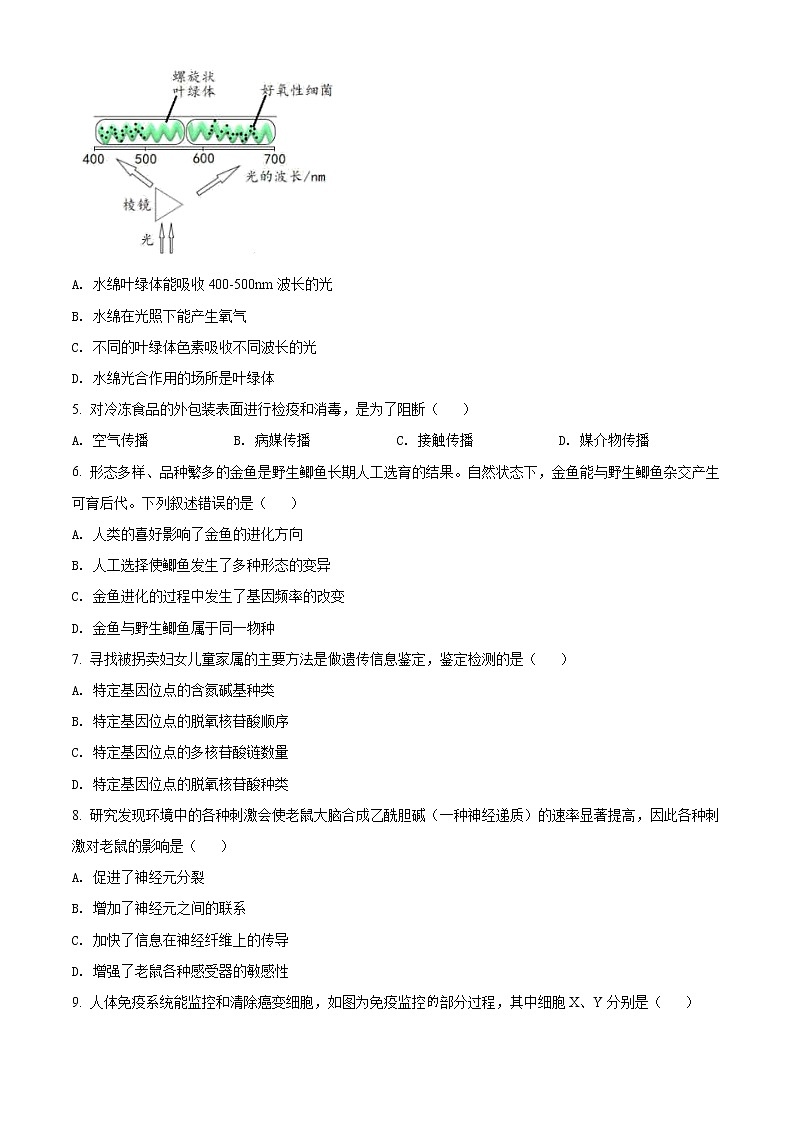 2022届上海市长宁区高三(线上)二模生物试题第2页