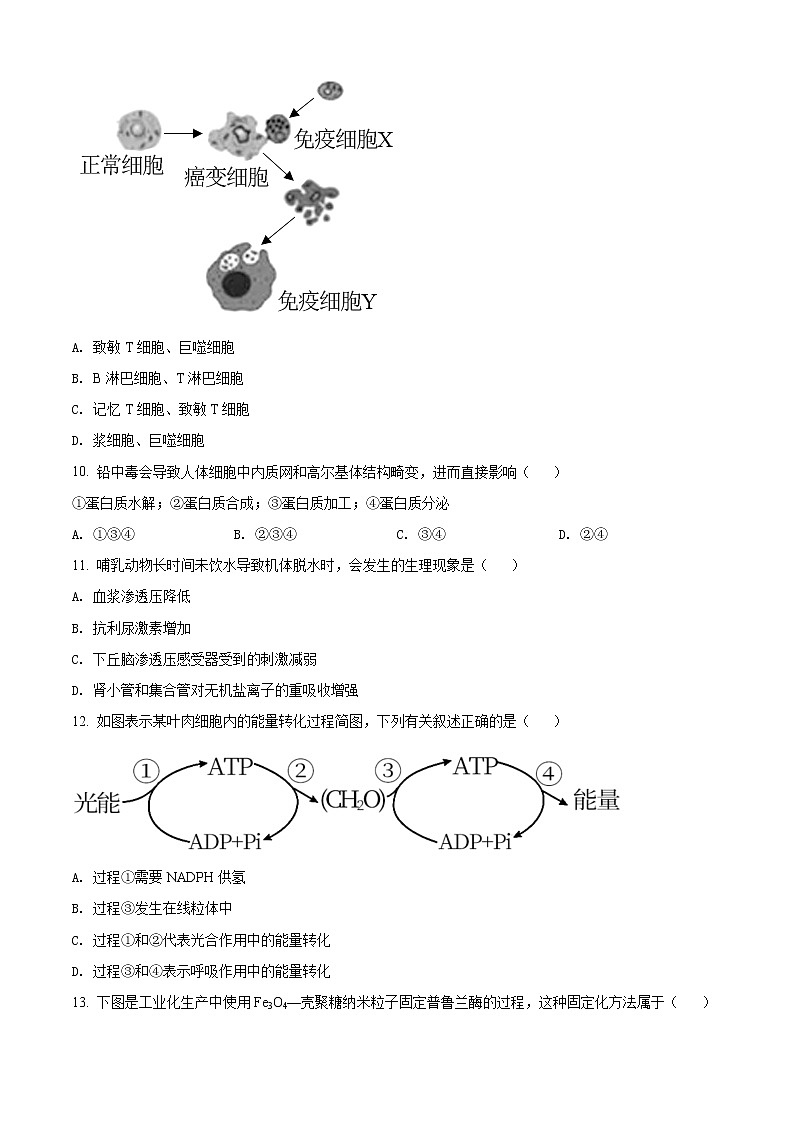 2022届上海市长宁区高三(线上)二模生物试题第3页