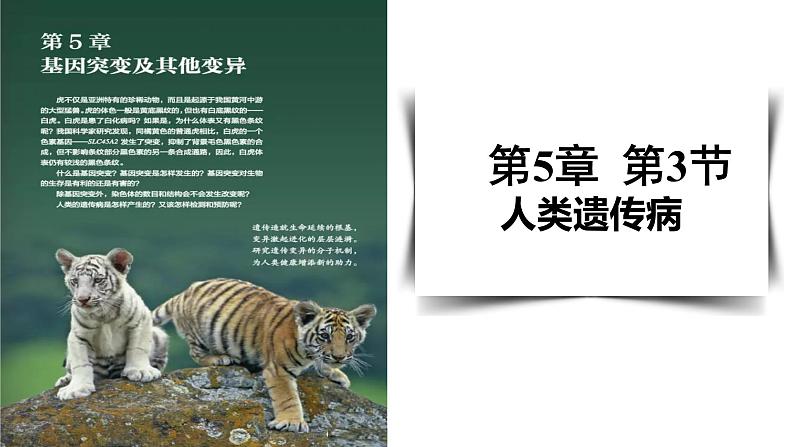5.3人类遗传病课件-2021-2022学年高一下学期生物人教版(2019)必修201