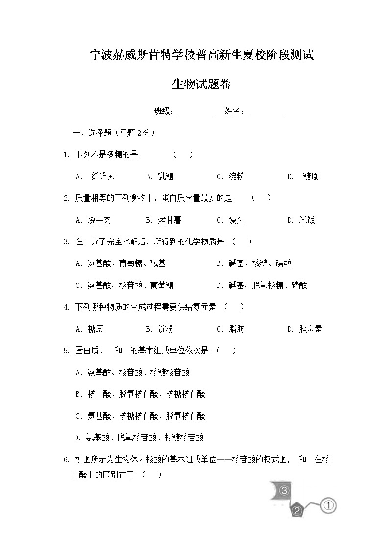 2022宁波赫威斯肯特学校高一上学期夏校阶段测试生物试题含答案第1页