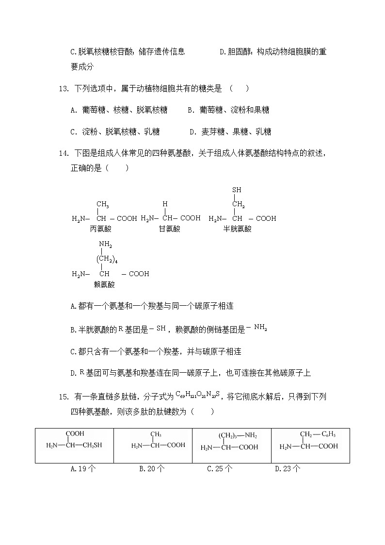 2022宁波赫威斯肯特学校高一上学期夏校阶段测试生物试题含答案第3页