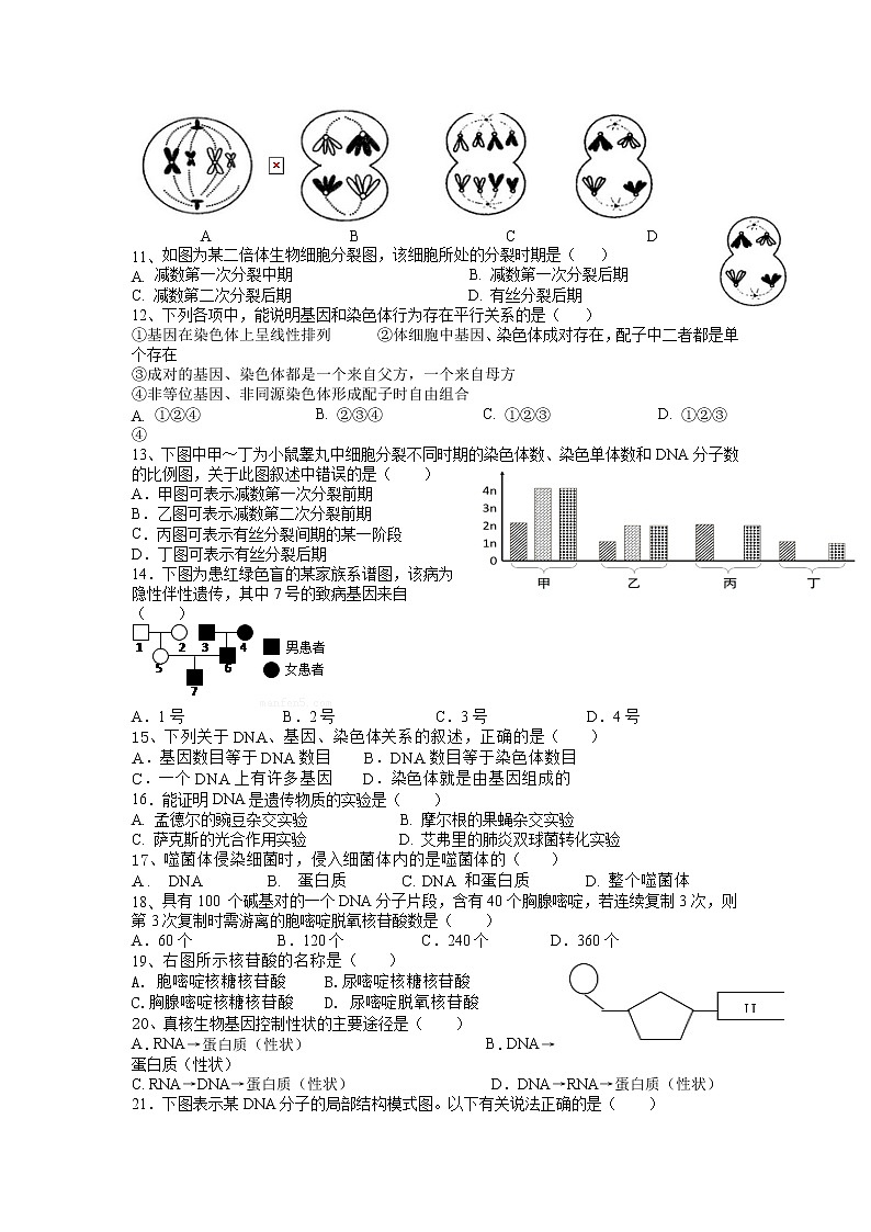 2021湖南省邵東縣三中高一下學(xué)期期中考試生物試題含答案第2頁(yè)