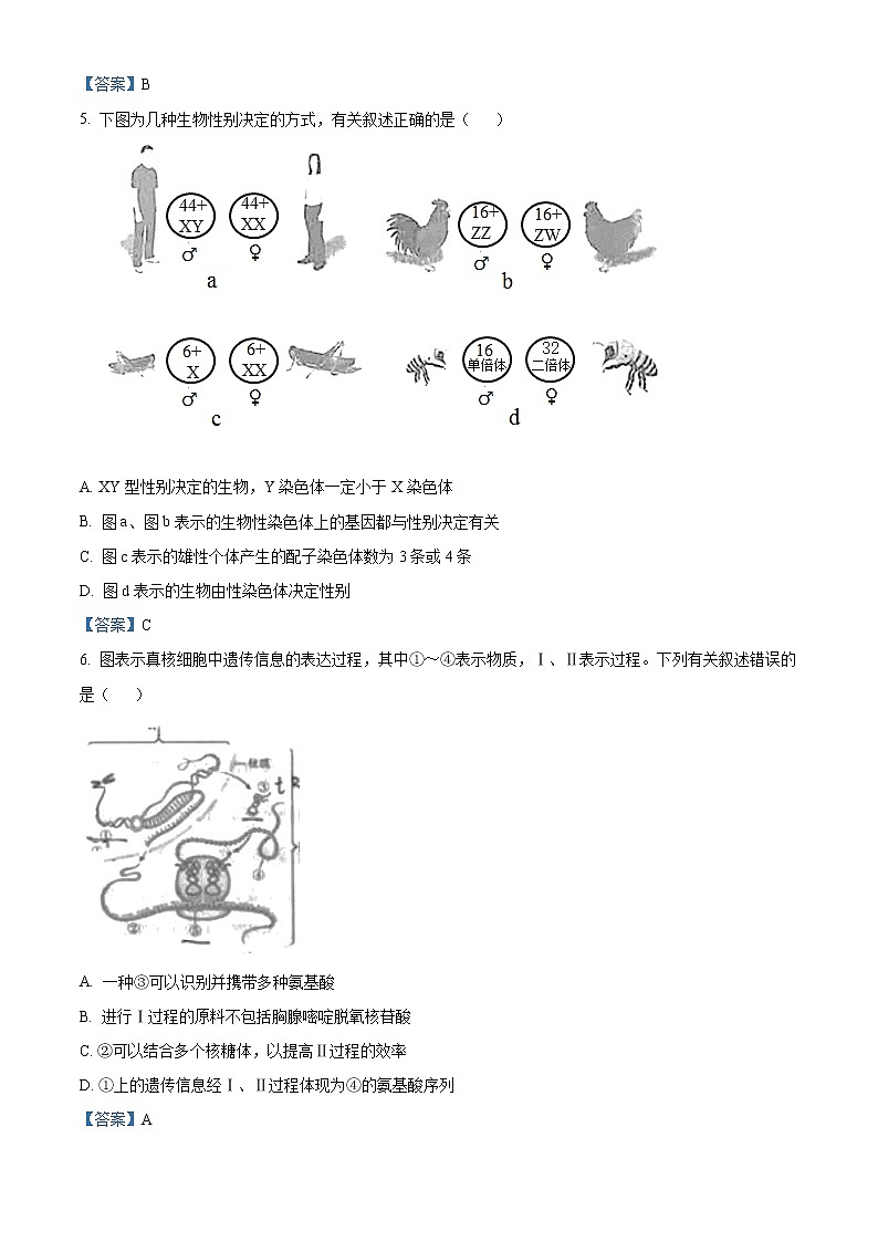 2021天津河东区高一下学期期末生物试题含答案02