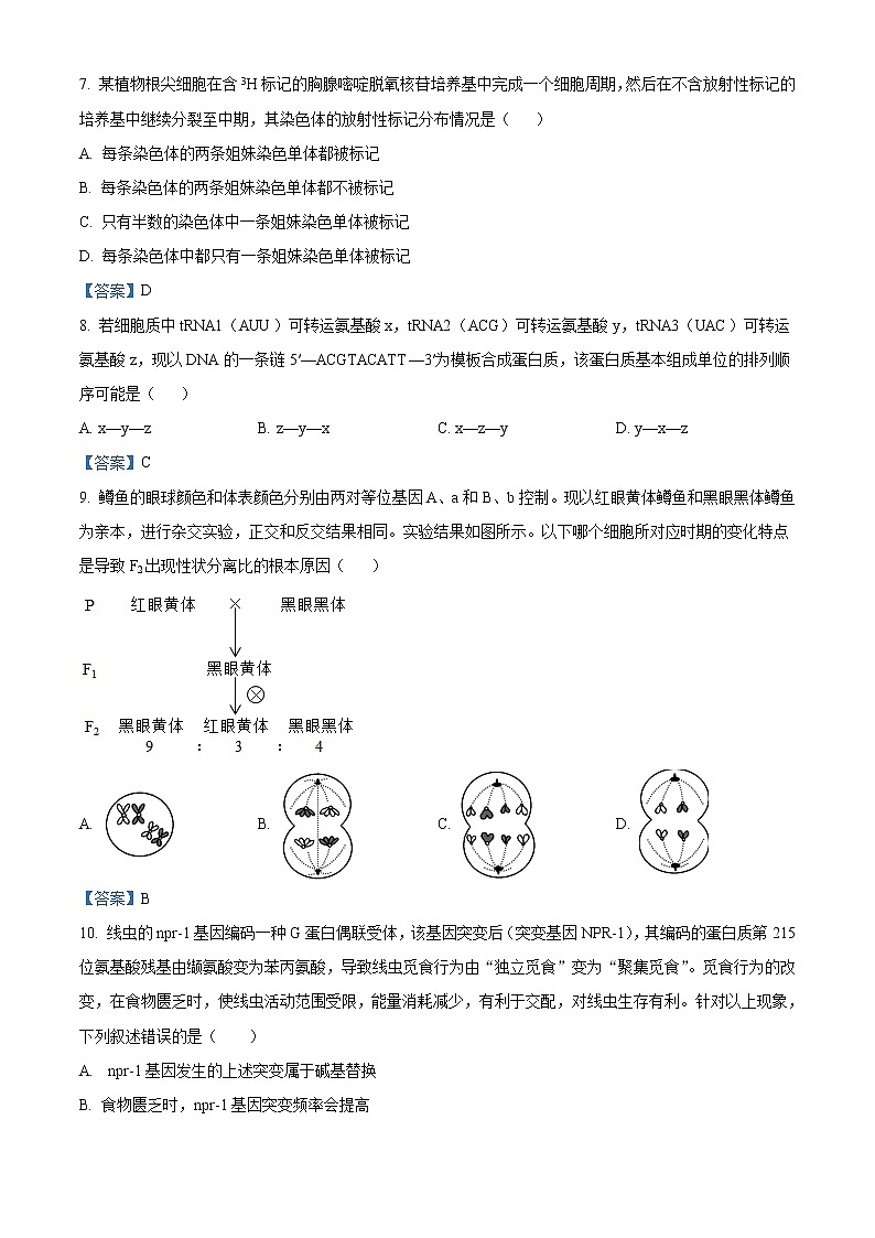 2021天津河东区高一下学期期末生物试题含答案03