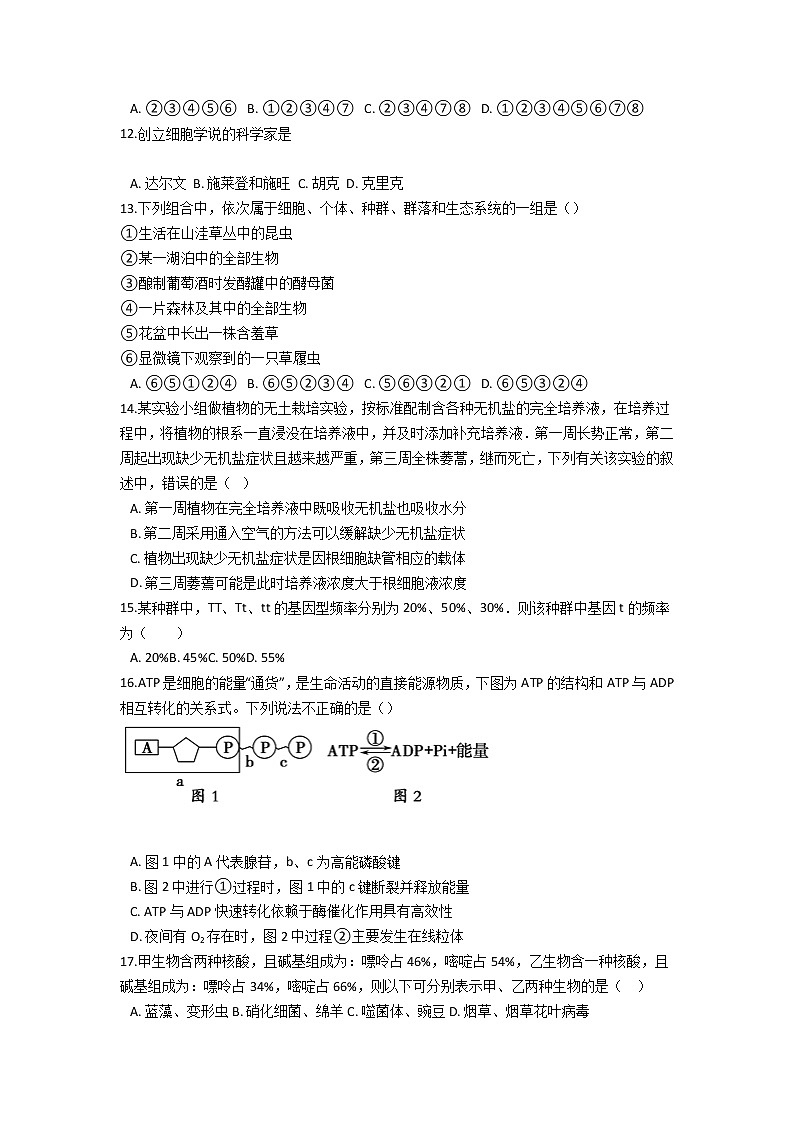 2021普洱景东彝族自治县一中高一下学期期末生物试题含答案第3页