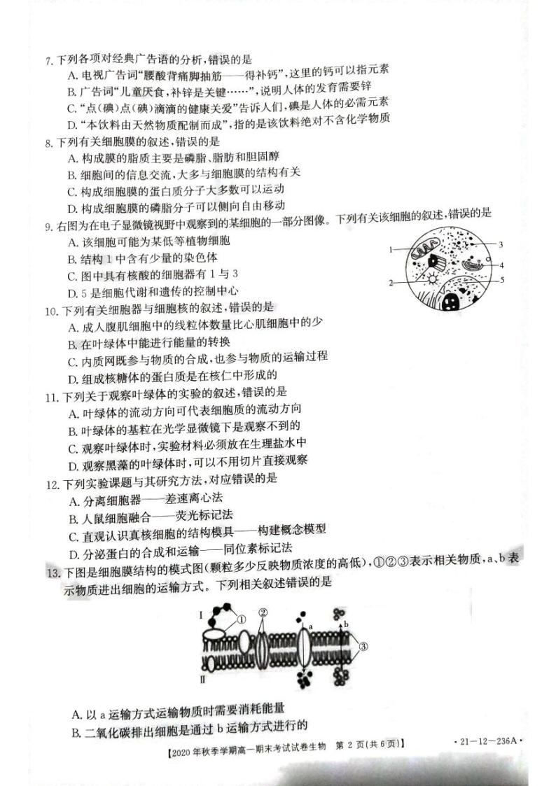 2021黔西南州高一上学期期末考试生物试卷扫描版含答案02